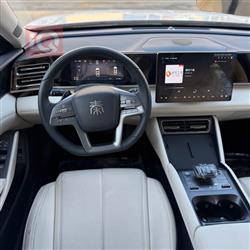 بي واي دي كوين L DM-i